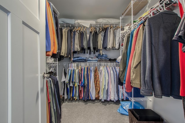 spacious closet featuring carpet flooring