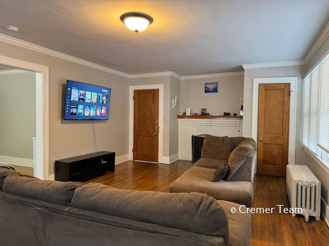 living room with plenty of natural light, dark wood-type flooring, and radiator heating unit