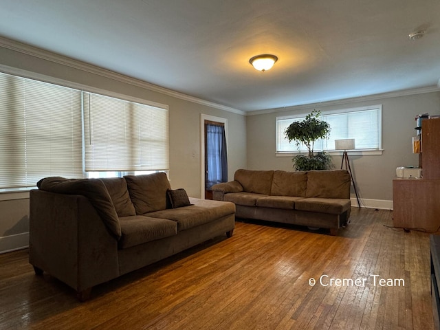 living room featuring crown molding and dark hardwood / wood-style floors