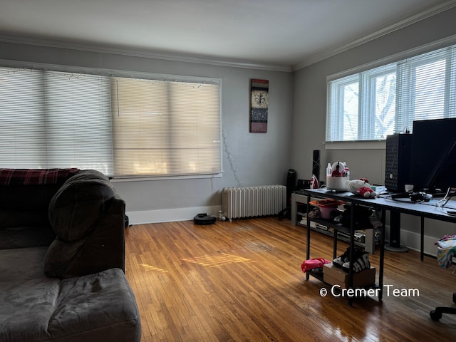 office area featuring ornamental molding, radiator, and hardwood / wood-style floors