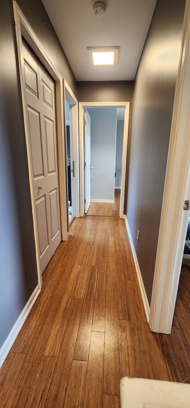 hall featuring hardwood / wood-style floors