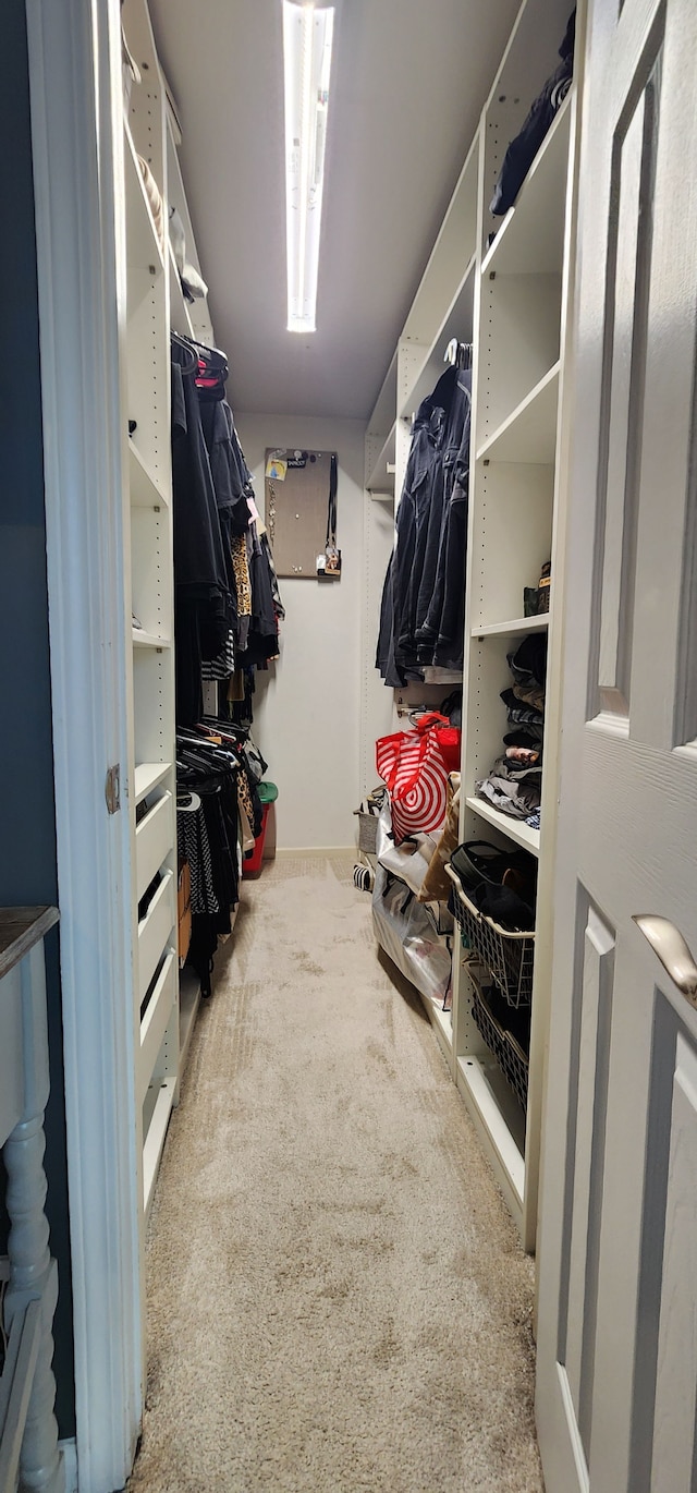 spacious closet featuring light colored carpet