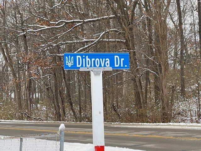 Listing photo 2 for 0000 Dibrova Dr, Brighton MI 48116