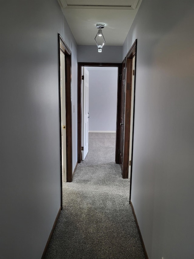 hallway featuring light carpet