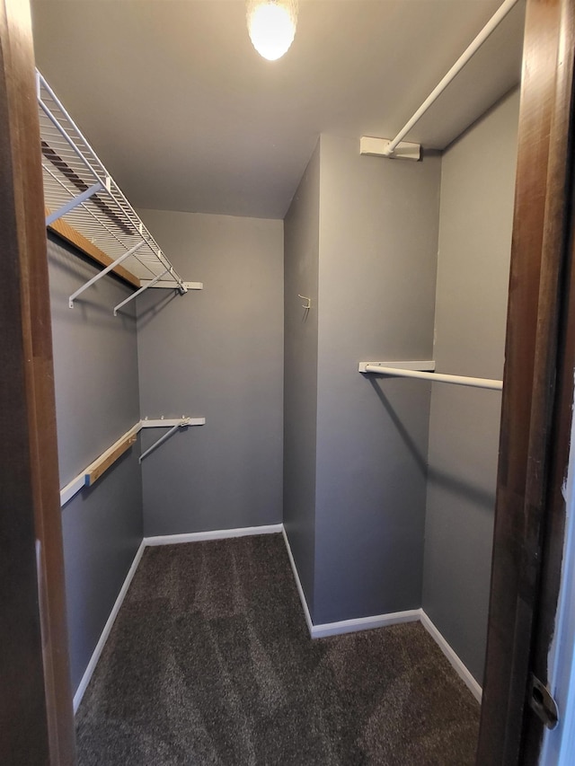 walk in closet featuring carpet