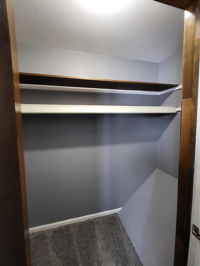 spacious closet with dark carpet