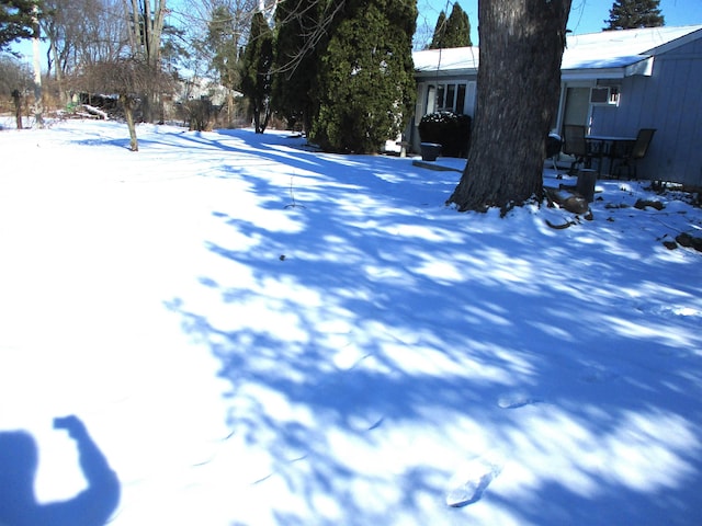 view of yard covered in snow