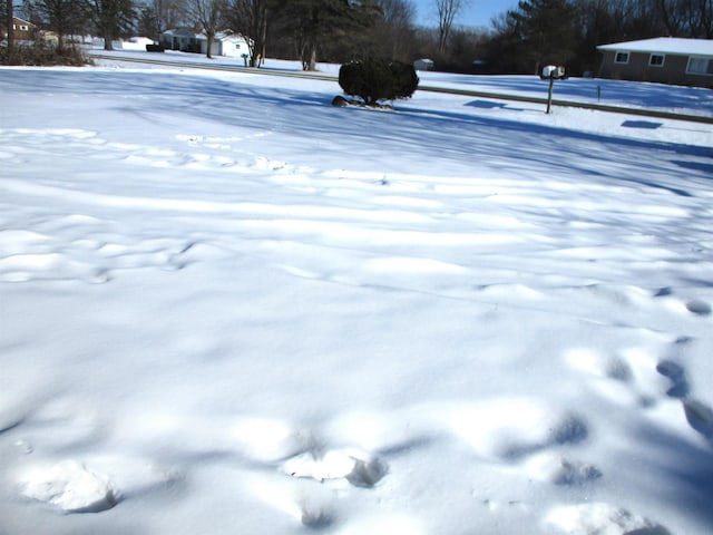 view of yard covered in snow