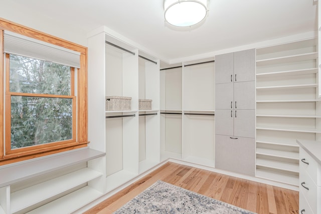 walk in closet with light hardwood / wood-style flooring