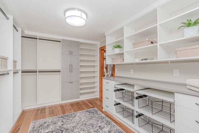 walk in closet with light wood-type flooring