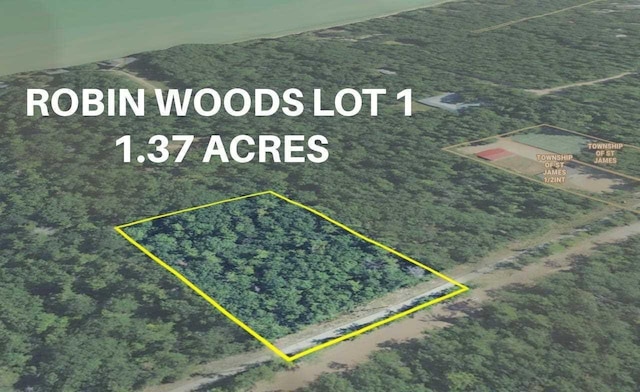 TBD Donegal Bay Rd, Beaver Island MI, 49782 land for sale