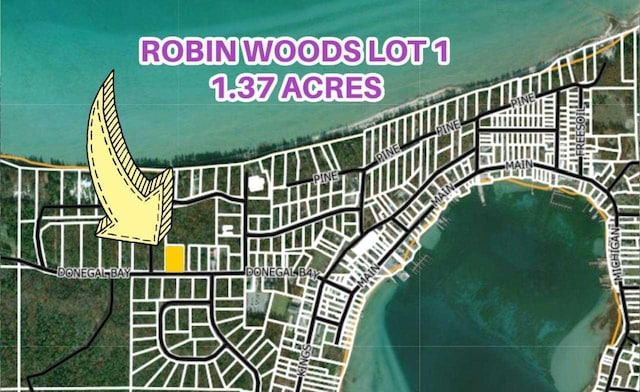 Listing photo 2 for TBD Donegal Bay Rd, Beaver Island MI 49782