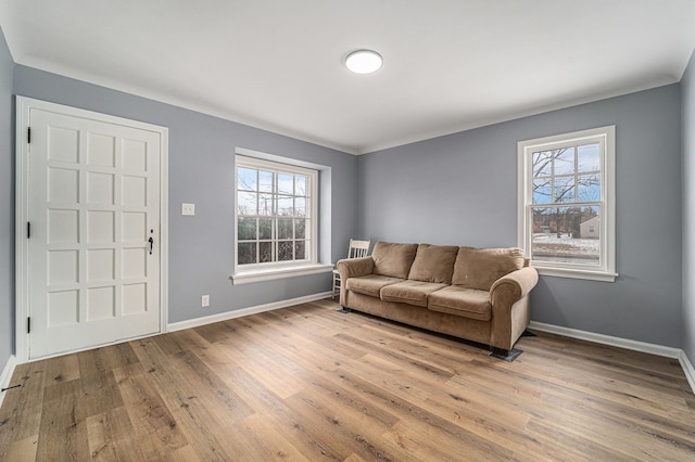 living room with light hardwood / wood-style flooring and a wealth of natural light