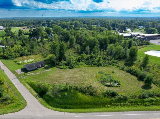 3301EMMETTRD Emmett Rd, Emmett MI, 48022 land for sale