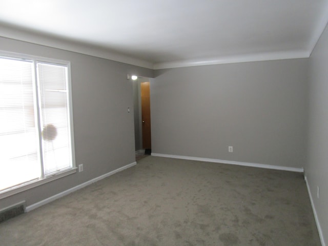 empty room with plenty of natural light and carpet