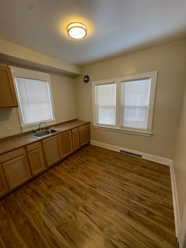 kitchen with dark wood-type flooring, plenty of natural light, and sink