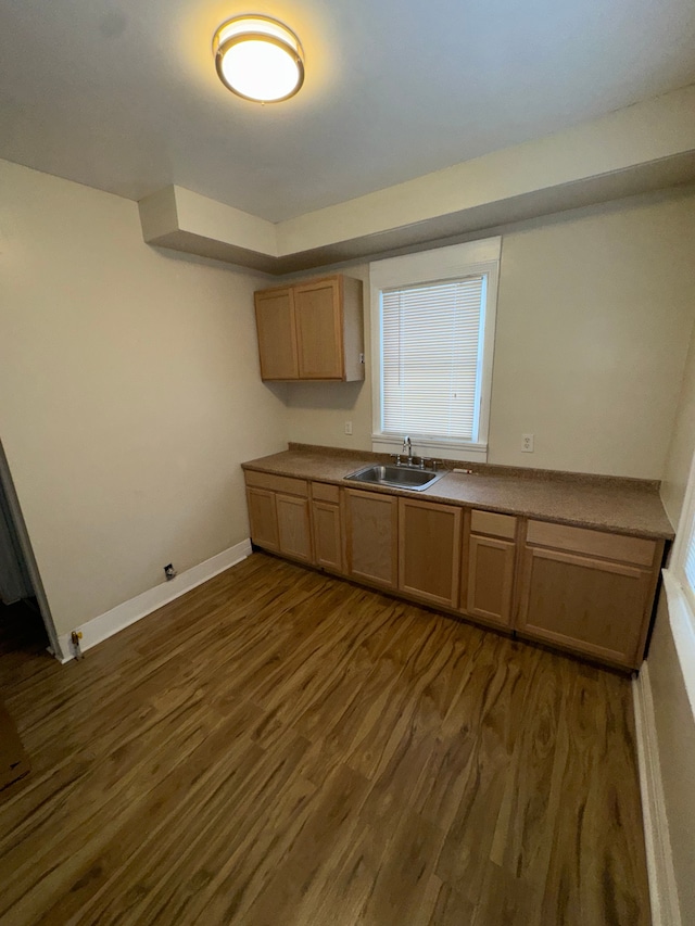 kitchen featuring sink and dark wood-type flooring