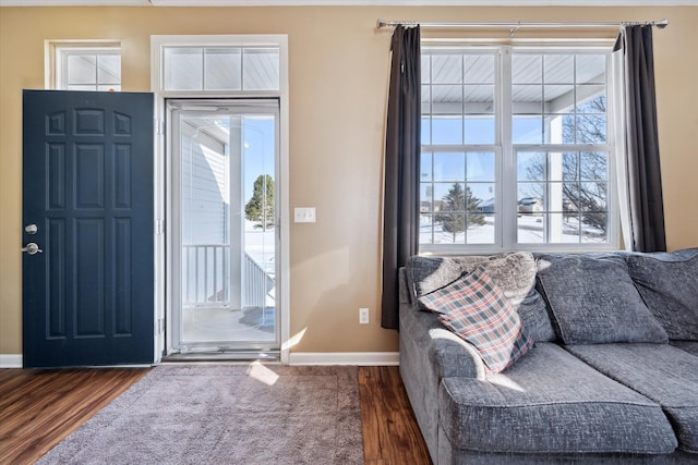 entrance foyer with dark hardwood / wood-style flooring