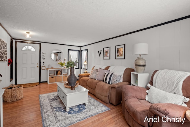 living room featuring light hardwood / wood-style flooring, ornamental molding, and a textured ceiling