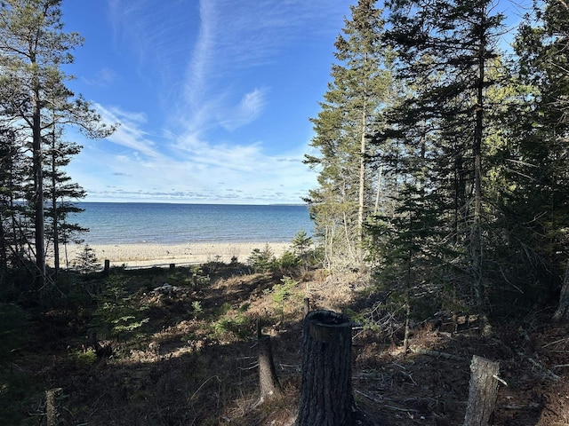 32010 Mrs Reddings Trl, Beaver Island MI, 49782 land for sale