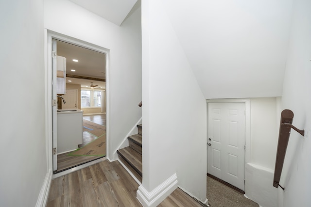 stairway featuring wood-type flooring