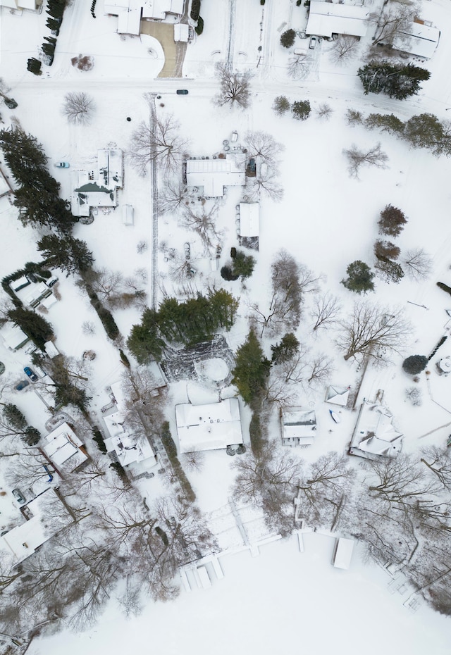 view of snowy aerial view