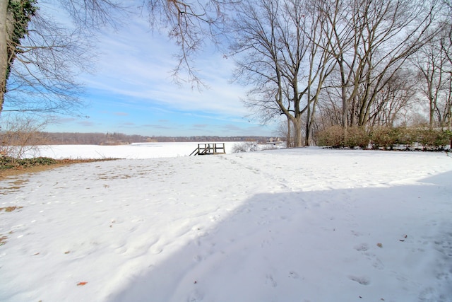 view of yard layered in snow