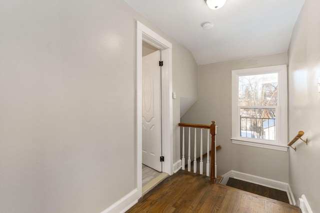 stairs with hardwood / wood-style flooring