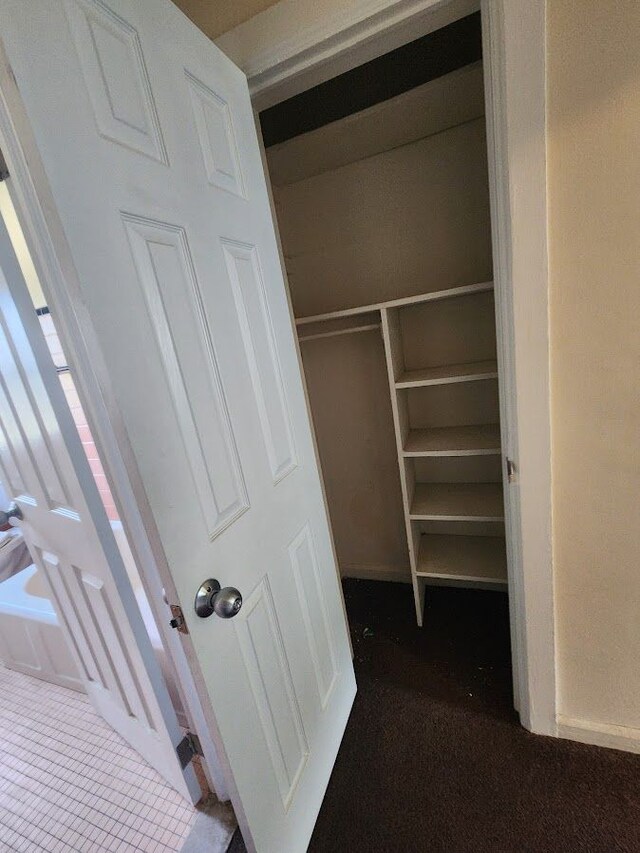 view of closet