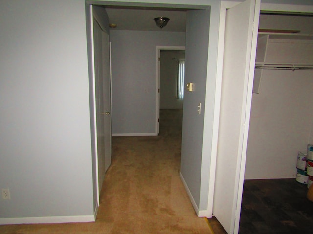 hallway with carpet floors