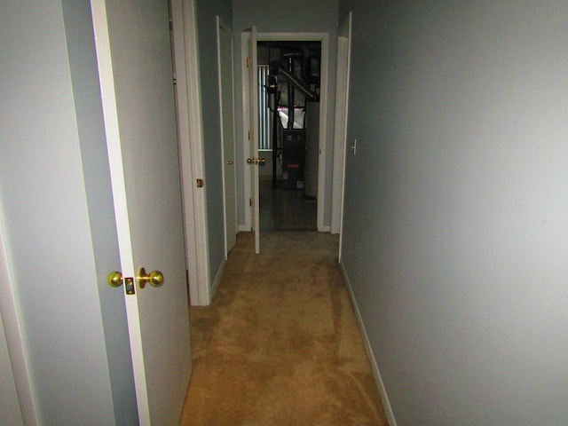 hallway with carpet floors