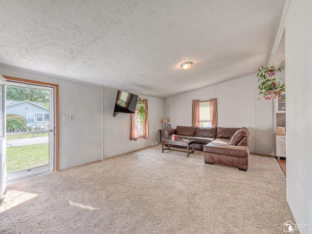 living room featuring vaulted ceiling, carpet, and a textured ceiling