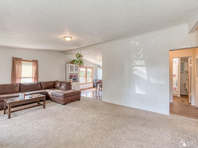 carpeted living room with vaulted ceiling and a textured ceiling