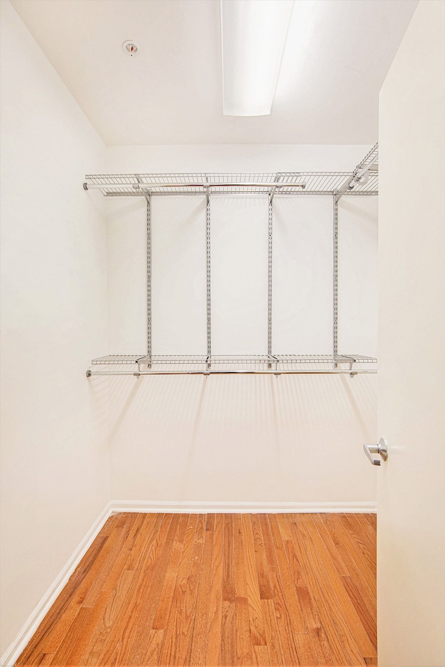 walk in closet with hardwood / wood-style floors