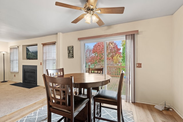 dining room featuring light hardwood / wood-style floors and ceiling fan