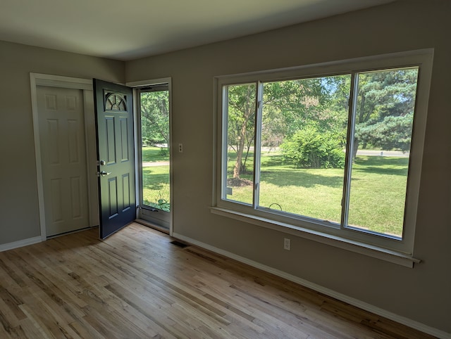 entrance foyer featuring light hardwood / wood-style flooring