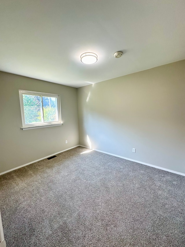 spare room with carpet floors