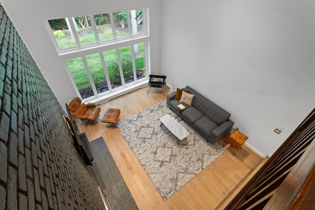 living room with hardwood / wood-style flooring, plenty of natural light, and a high ceiling