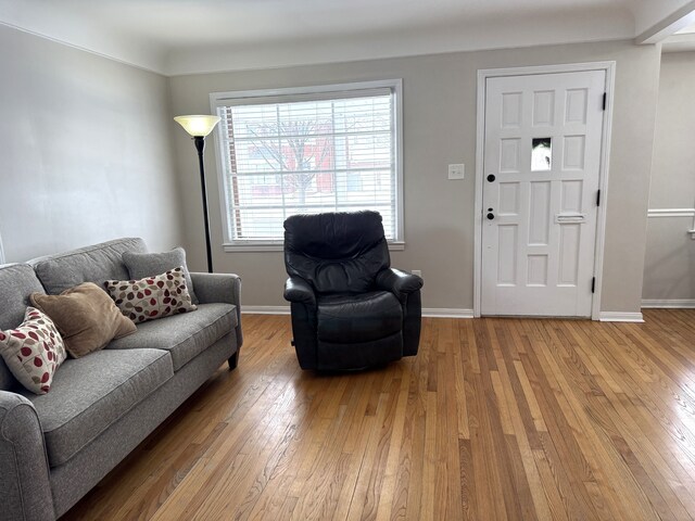 living room with hardwood / wood-style floors