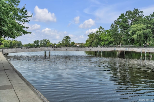 4633 Crestway Dr, Brighton, MI 48116 - water view