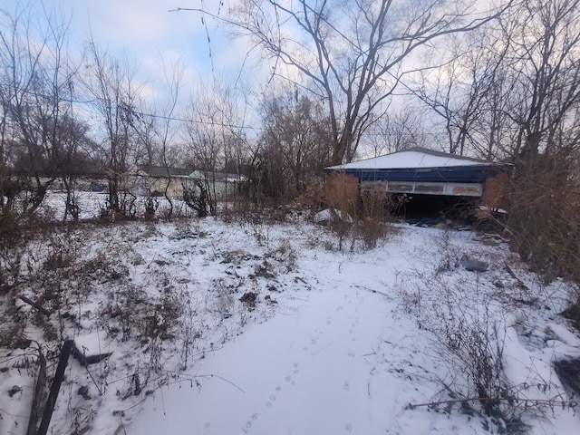 view of yard covered in snow