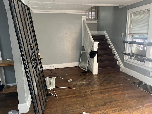 interior space with dark hardwood / wood-style floors