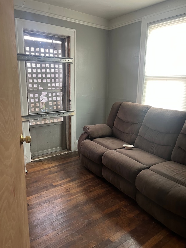 living room with dark hardwood / wood-style floors