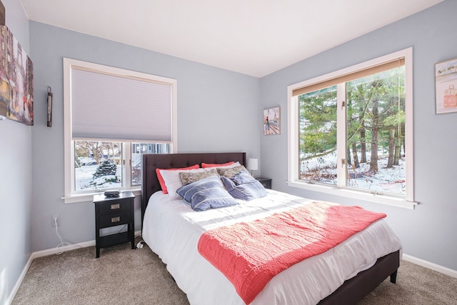 bedroom featuring carpet