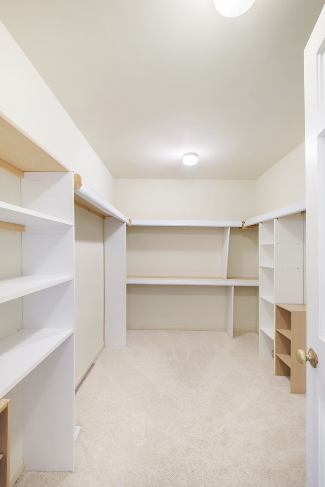 spacious closet with light carpet