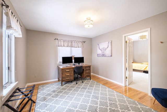 office space featuring plenty of natural light and light hardwood / wood-style floors