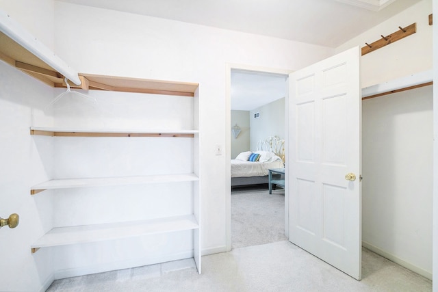 spacious closet featuring carpet