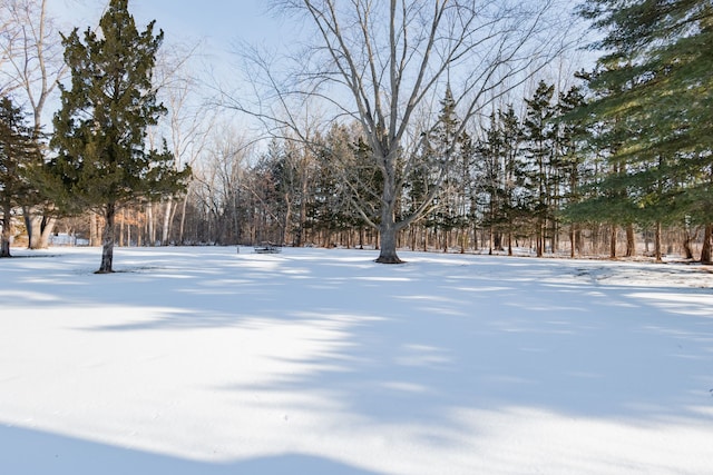 view of yard layered in snow