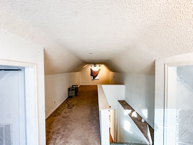 additional living space with lofted ceiling, carpet, and a textured ceiling