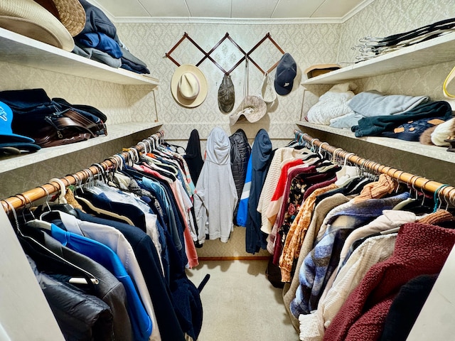 walk in closet with carpet floors